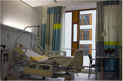 Hospital Adjustable Bed